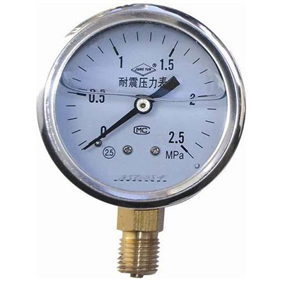 Shock proof pressure gauge