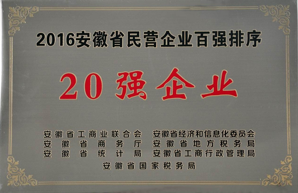 安徽省民营20强企业.jpg